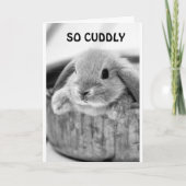 笑いバニーが言う**ハッピーハローウィン** シーズンカード (正面)