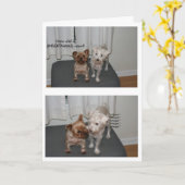 笑い犬誕生日カード カード (黄色い花)
