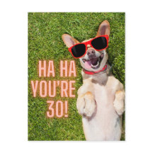 『笑い犬30歳の誕生日』