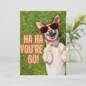 笑い犬60番誕生日葉書 カード (スタンド正面)