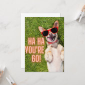 笑い犬60番誕生日葉書 カード (正面/裏面インサイチュ)