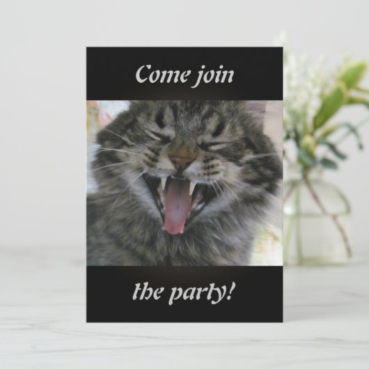 笑い猫 (スタンド正面)