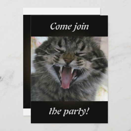 笑い猫 (正面/裏面)