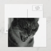 笑い猫 ポストカード (正面/裏面)