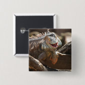 笑うイグアナの写真 缶バッジ (正面&裏面)