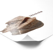 笑うイグアナHeHe Lizard フォトプリント (角)