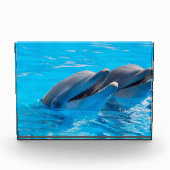 笑うイルカ フォトブロック (正面)