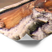 笑うオランウタン ポスター (角)