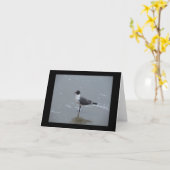 笑うカモメのビーチの札 カード (黄色い花)