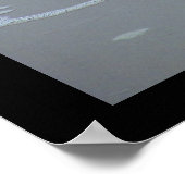 笑うカモメのポーズ ポスター (角)