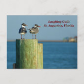 笑うカモメ シーズンポストカード (正面)