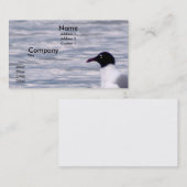 笑うカモメ 名刺 (正面/裏面)