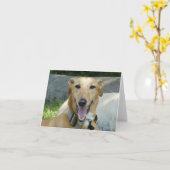 笑うグレイハウンド カード (黄色い花)