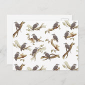 笑うコカブルラオーストラリアの鳥ユーカリ シーズンポストカード (正面/裏面)