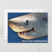 笑うサメを信用しない ポストカード (正面/裏面)