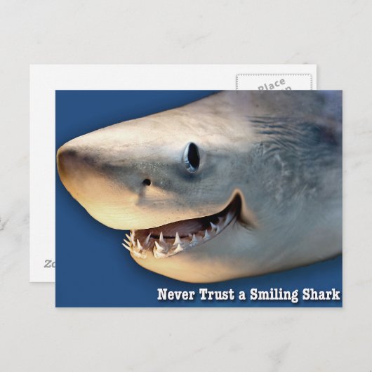 笑うサメを信用しない ポストカード (正面/裏面)