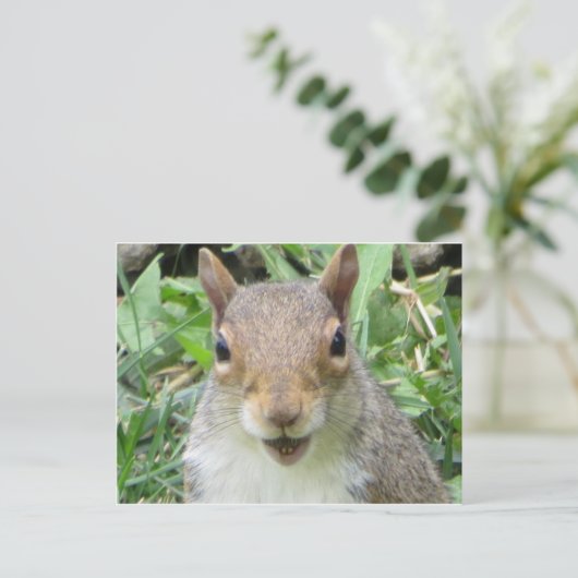 笑うリス ポストカード (スタンド正面)