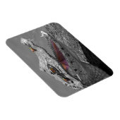 笑うワニとハエ マグネット (右側)