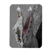 笑うワニとハエ マグネット (縦)