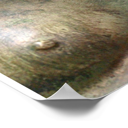 笑う仏 ポスター (角)