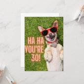 笑う犬30歳の誕生日 カード (正面/裏面インサイチュ)