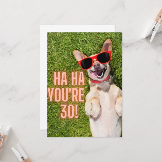 笑う犬30歳の誕生日 カード (正面/裏面インサイチュ)
