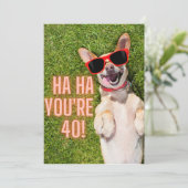 笑う犬40歳の誕生日カード (スタンド正面)