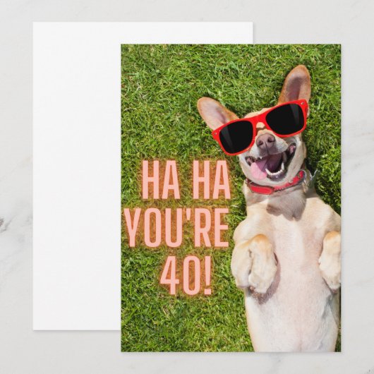 笑う犬40歳の誕生日カード (正面/裏面)