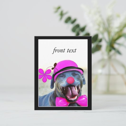 笑う犬 招待状 (スタンド正面)