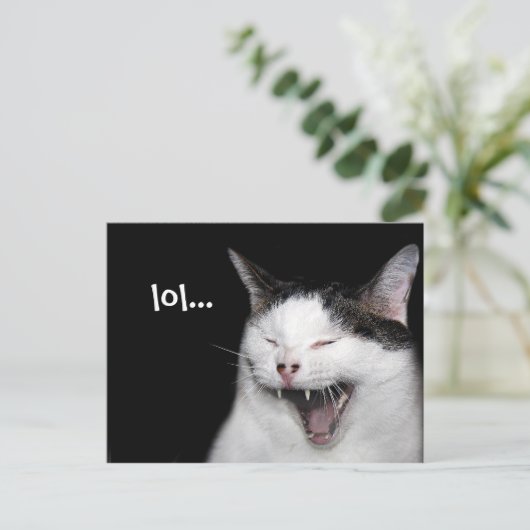 笑う猫 ポストカード (スタンド正面)