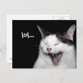 笑う猫 ポストカード (正面/裏面)