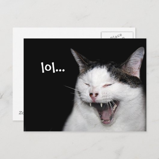 笑う猫 ポストカード (正面/裏面)