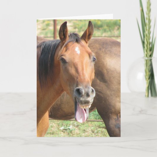 笑う馬 カード (正面)