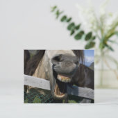 笑う馬 ポストカード (スタンド正面)