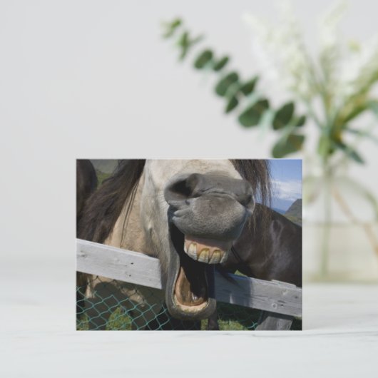 笑う馬 ポストカード (スタンド正面)