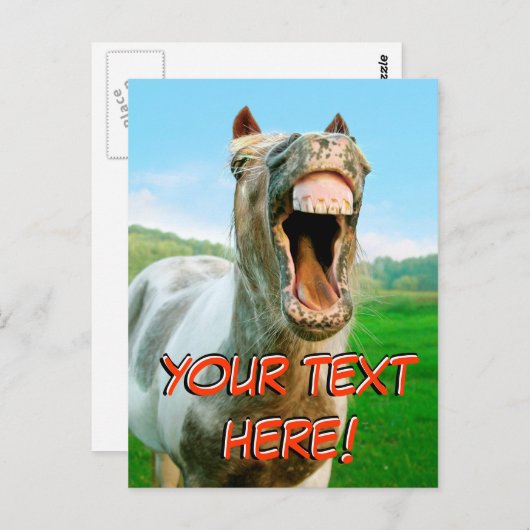 笑う馬 ポストカード (正面/裏面)