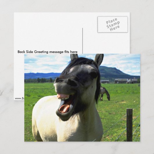 笑う馬 ポストカード (正面/裏面)
