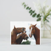 笑う馬 ポストカード (スタンド正面)