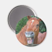 笑う馬 マグネット (正面/裏面)