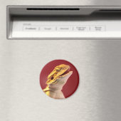 笑う髭のあるドラゴン マグネット (インサイチュ (食洗機))