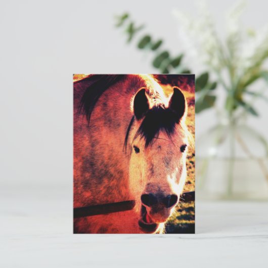 笑う ポストカード (スタンド正面)