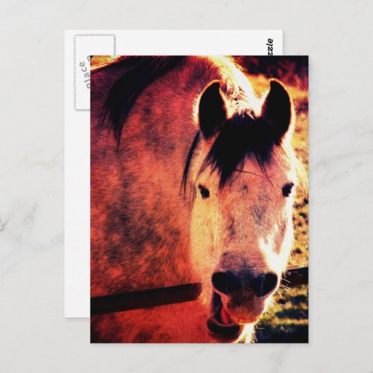 笑う ポストカード (正面/裏面)