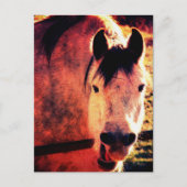 笑う ポストカード (正面)