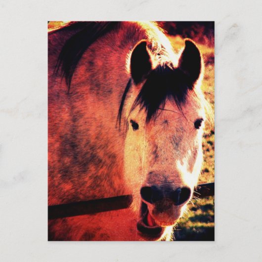 笑う ポストカード (正面)