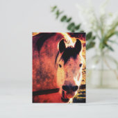 笑う ポストカード (スタンド正面)