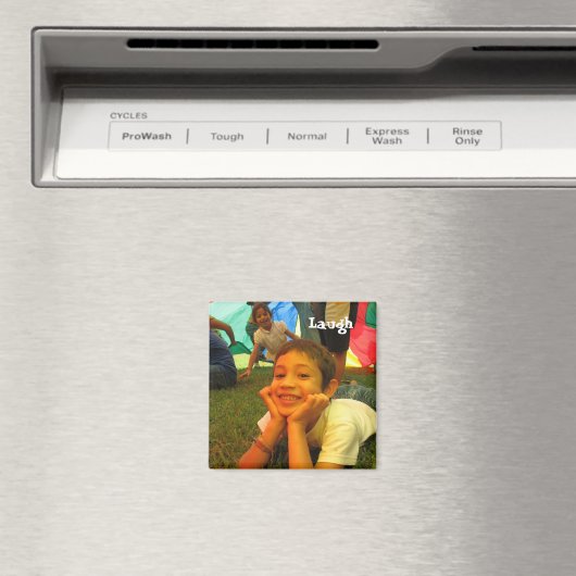 笑う マグネット (インサイチュ (食洗機))