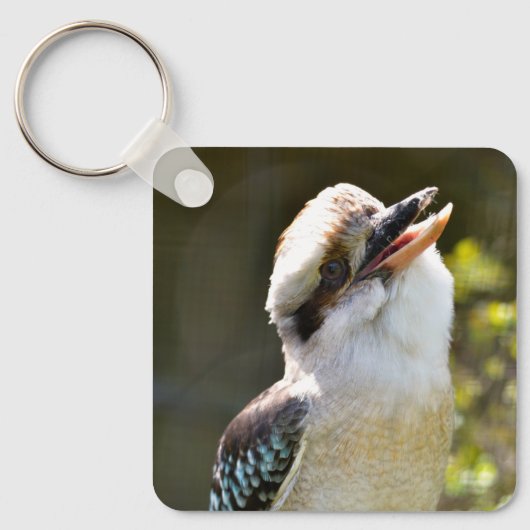 笑うKookaburraブランチ葉書Squに止まった キーホルダー (正面)