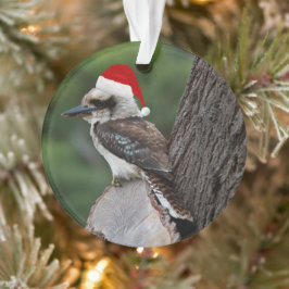 笑うKookaburra鳥クリスマスレッドサンタハット オーナメント