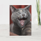 笑え！ カード (正面)