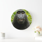 笑った猿 ラージ壁時計 (ホーム)